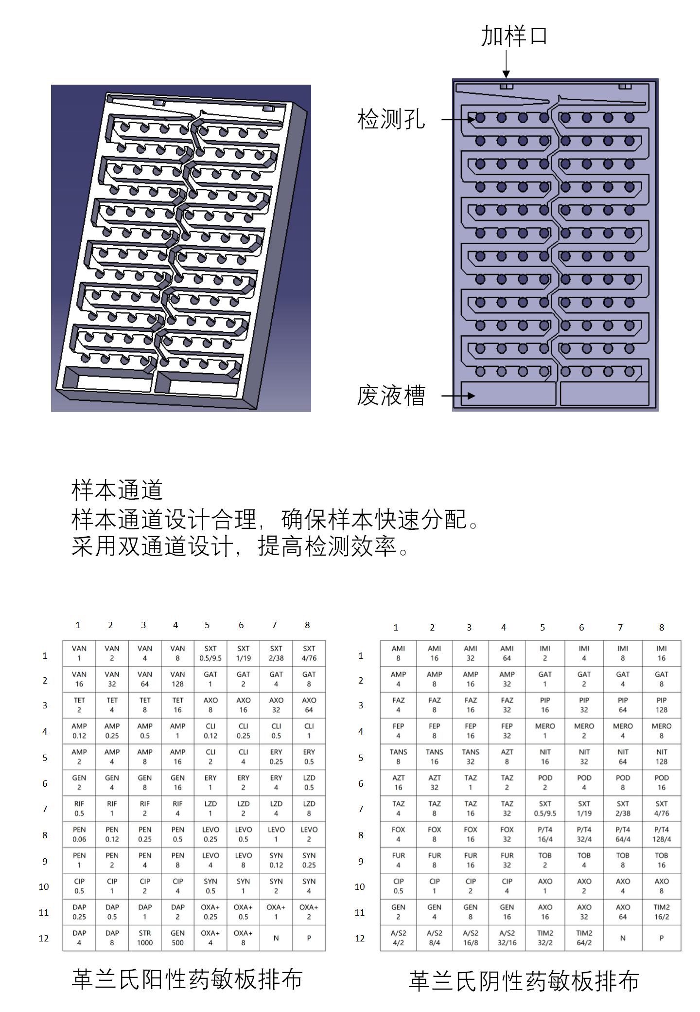 pMSA药敏分析宣传手册_03